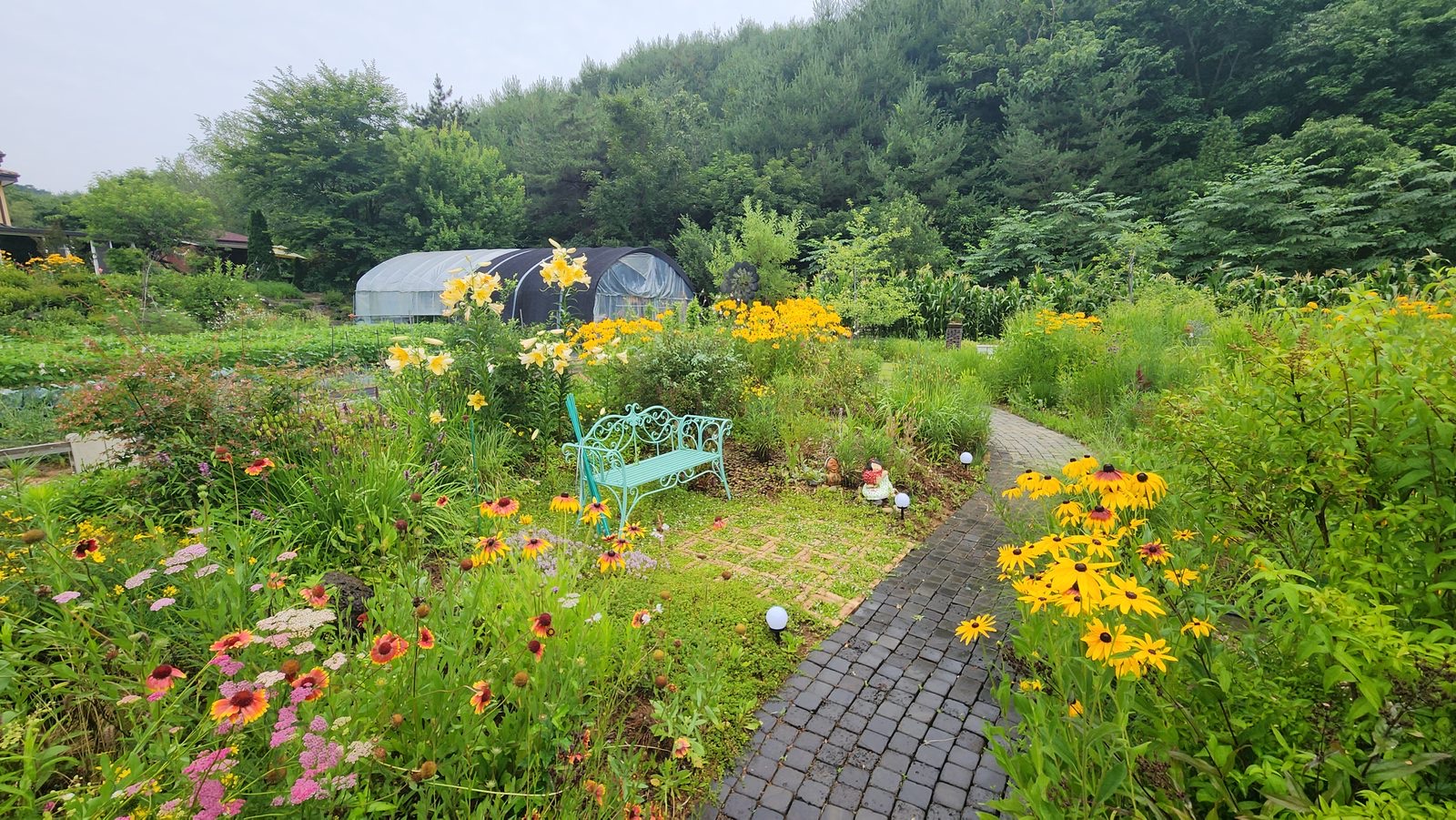 달의정원(모모숲)