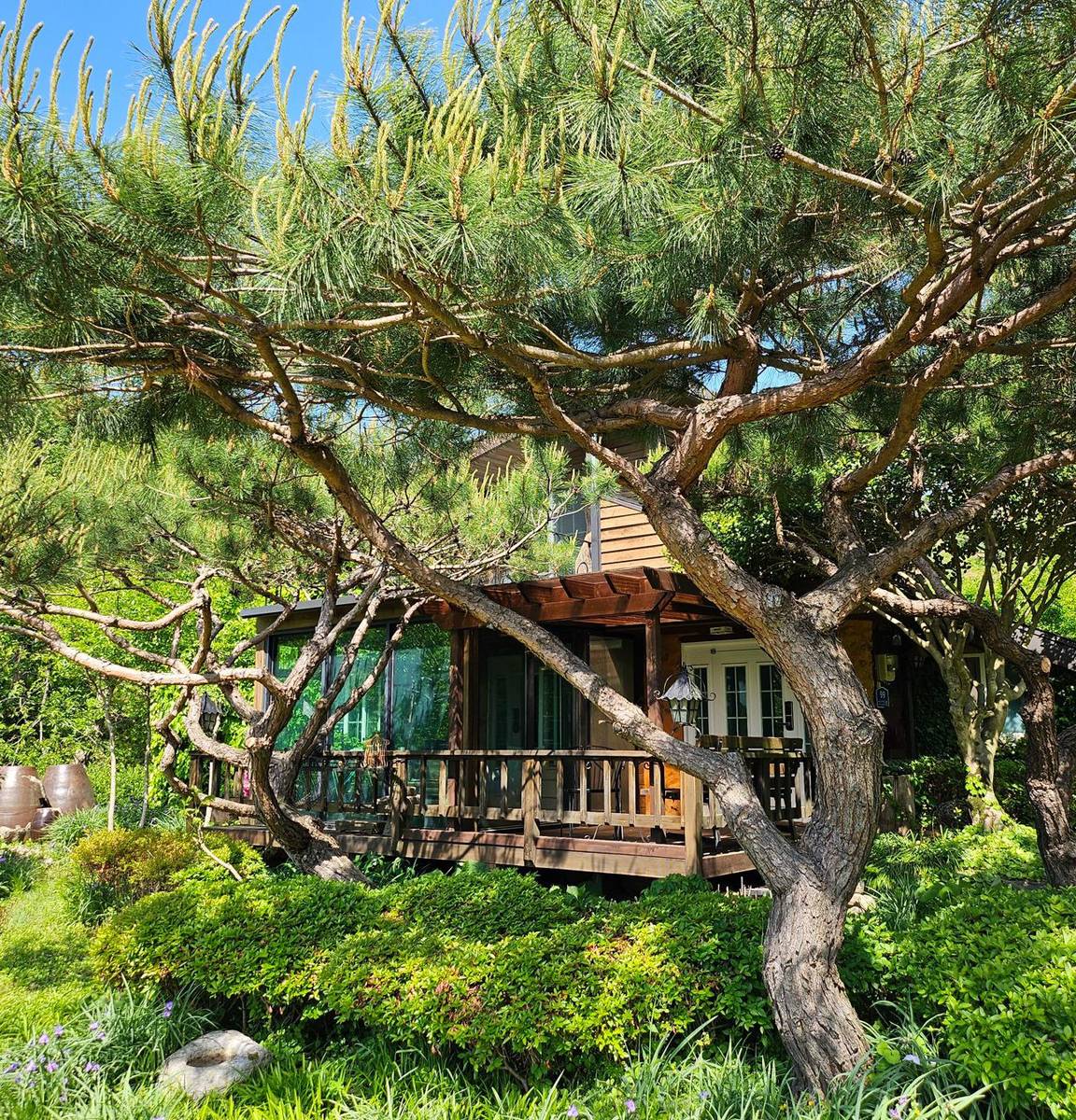 자연과 정원 전경