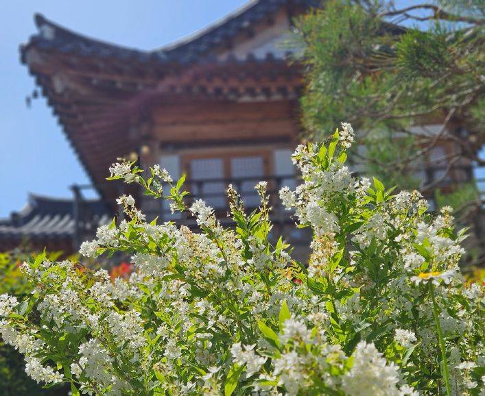 윤4월 정원 세부 풍경
